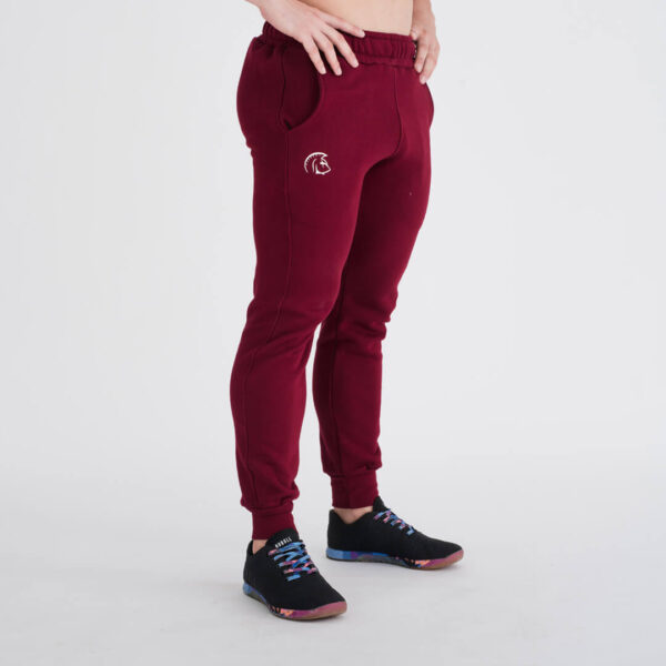 chandal-cross-training-climaguard-work-hard-crimson