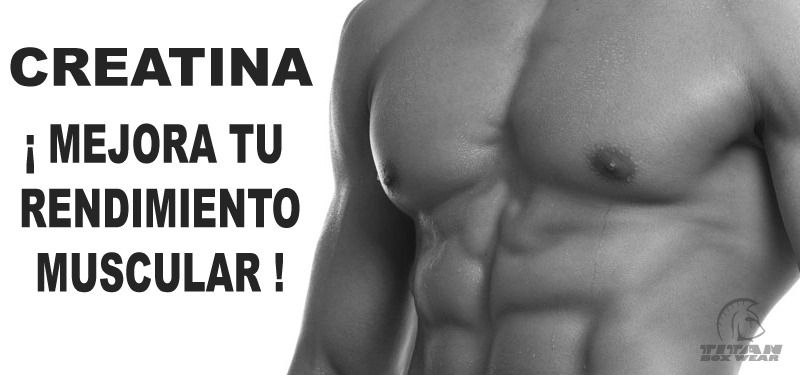 ¡ Mejora tu rendimiento muscular !